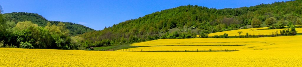 Сельхозземля в Болгарии: средняя стоимость по регионам